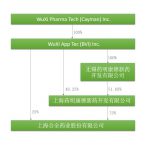 中概股回归路径全解析(中篇)——新三板通道 9 中概股回归路径全解析(中篇)——新三板通道 - 上海公司法律师-公司法律桥-上海杨春宝一级律师