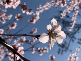 各地创投机构鼓励和扶持政策汇总(下篇)——江浙粤篇