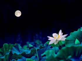 私募基金行业法律动态(2019年8月/总第19期)