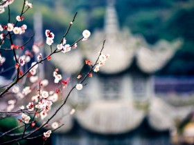 一文看遍2019年度私募基金行业监管政策