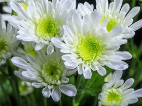 私募基金行业法律动态(2019年11月/总第22期)