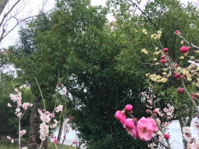 创业企业如何审慎面对疫情导致对赌失败的风险