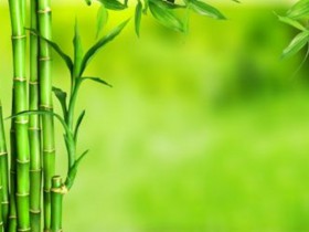 新冠疫情期间上海鼓励外资政策汇总