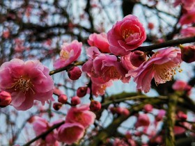 保险资金进行私募股权投资的法律尽职调查要点---基金管理人篇