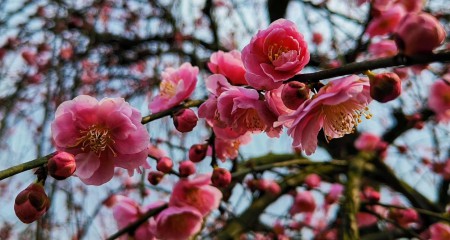 保险资金进行私募股权投资的法律尽职调查要点---基金管理人篇