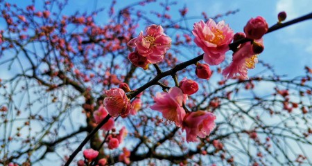 私募基金行业法律动态（2020年12月/总第34期）