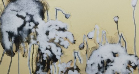 法律桥：私募基金行业法律动态（2023年12月/总第70期）