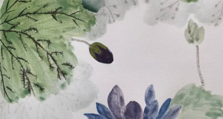 私募基金究竟有多少婆婆？